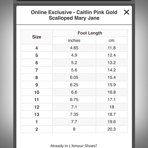 L’AMOUR Online Exclusive - Caitlin Pink Gold Scalloped Mary Jane - Picture 6 of 14